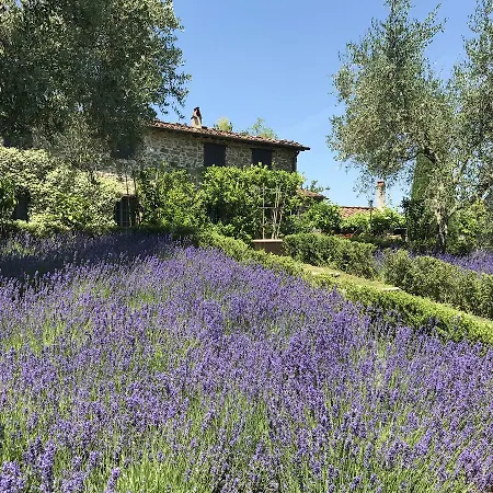 Macennere By Salogi *