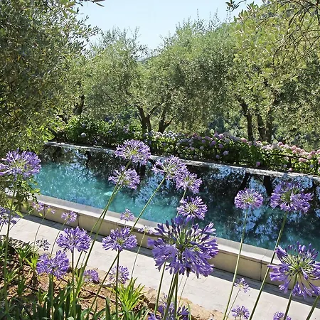 Villa Macennere By Salogi Lucca