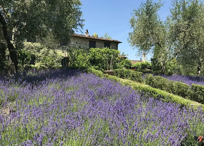 Macennere By Salogi *