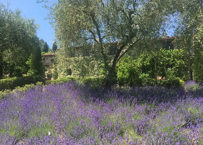 Macennere By Salogi *