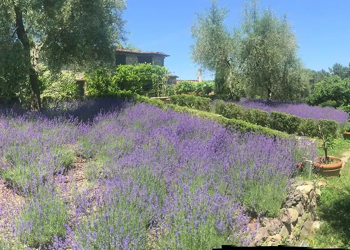 Macennere By Salogi ヴィラ