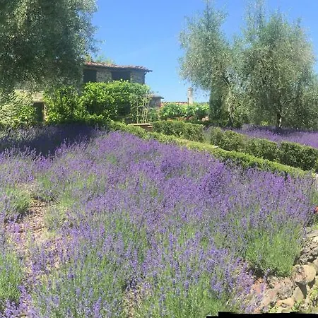 Macennere By Salogi Vila